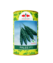Palee/पाली Bittergourd (East West Seeds) - Farmers Stop