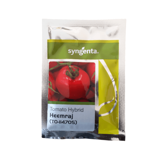 Heemraj/हिमराज  TO-114705 F1 Hybrid Tomato (Syngenta) - Farmers Stop