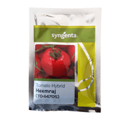 Heemraj/हिमराज TO-114705 F1 Hybrid Tomato (Syngenta) - Farmers Stop