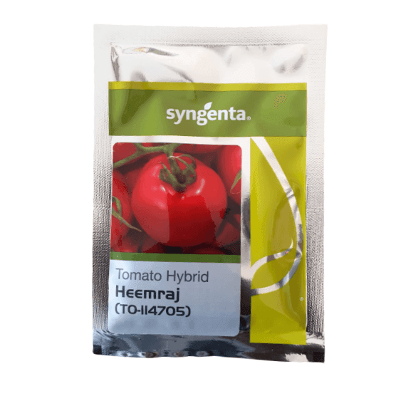 Heemraj/हिमराज TO-114705 F1 Hybrid Tomato (Syngenta) - Farmers Stop