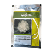 Monsoon Queen (C-6105) F1 Hybrid Cauliflower (Syngenta) - Farmers Stop