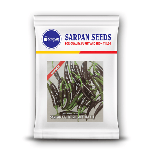 Mahakali Green Black/Purple F1 Hybrid Chilli (Sarpan Seeds) - Farmers Stop