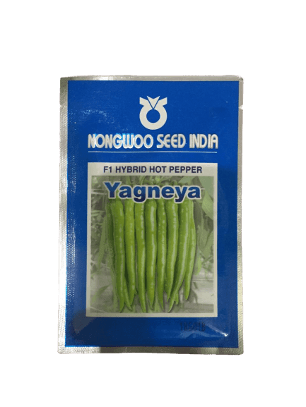 Yagneya F1 Hybrid Hot Pepper/Chilli (Nongwoo Seed India) - Farmers Stop