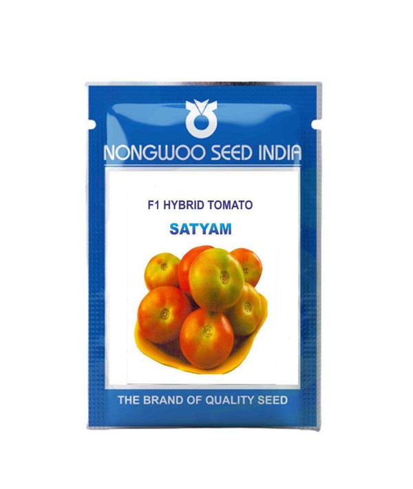Satyam/सत्यम F1 Hybrid Tomato (Nongwoo Seed India) - Farmers Stop