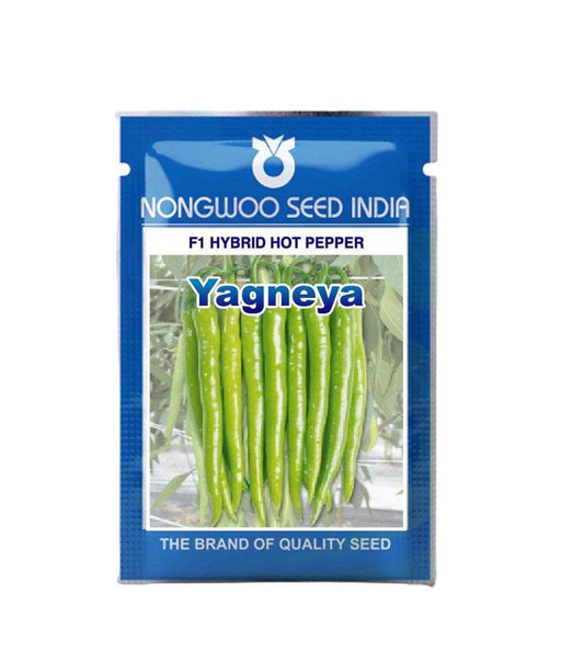 Yagneya F1 Hybrid Hot Pepper/Chilli (Nongwoo Seed India) - Farmers Stop