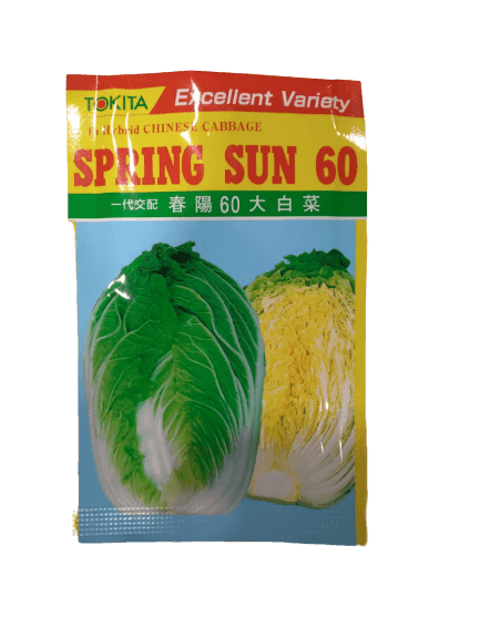 Spring Sun 60 Chinese Cabbage (Tokita) - Farmers Stop