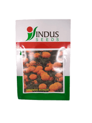Orange Bunch Kolkata Type Desi Marigold (Indus Seeds) - Farmers Stop