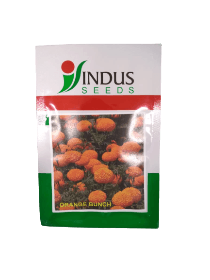 Orange Bunch Kolkata Type Desi Marigold (Indus Seeds) - Farmers Stop
