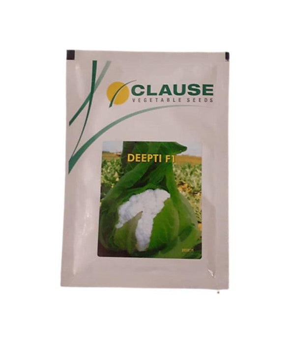 Deepti F1 Hybrid Cauliflower (Clause Seeds) - Farmers Stop