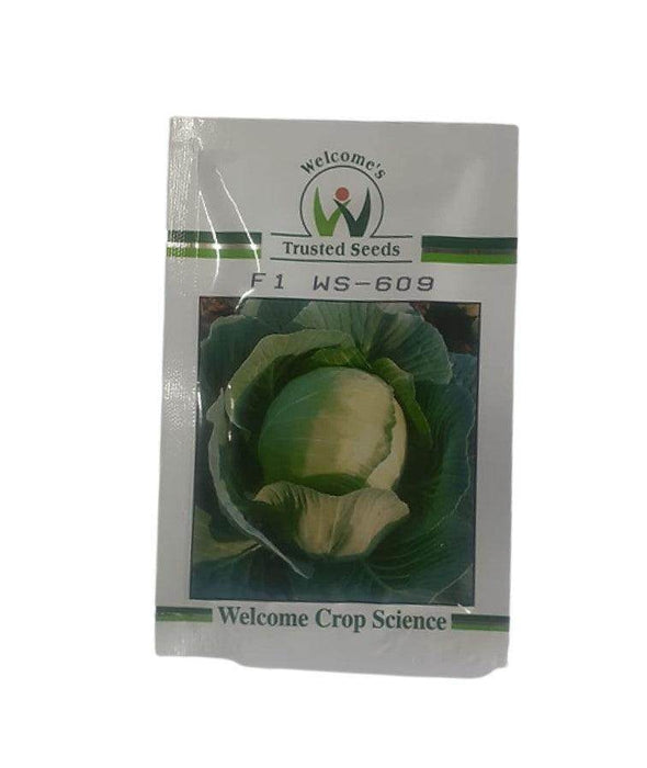 WS 609 F1 Hybrid Cabbage (Welcome's Seeds) - Farmers Stop