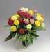 Oklahoma F1 Hybrid Zinnia elegans (Benary) - Farmers Stop