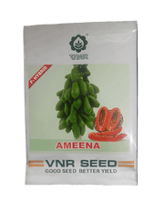 Ameena F1 Hybrid Papaya (VNR Seeds) - Farmers Stop