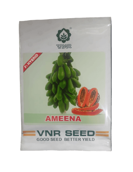 Ameena F1 Hybrid Papaya (VNR Seeds) - Farmers Stop