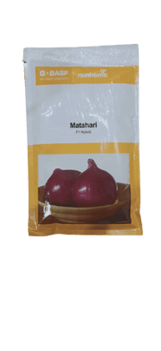 Matahari F1 Hybrid Onion (Nunhems) - Farmers Stop