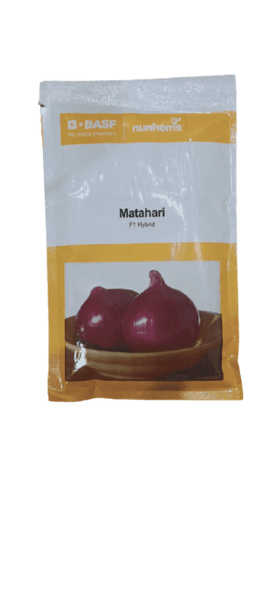Matahari F1 Hybrid Onion (Nunhems) - Farmers Stop