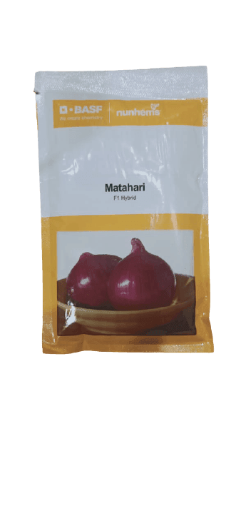 Matahari F1 Hybrid Onion (Nunhems) - Farmers Stop