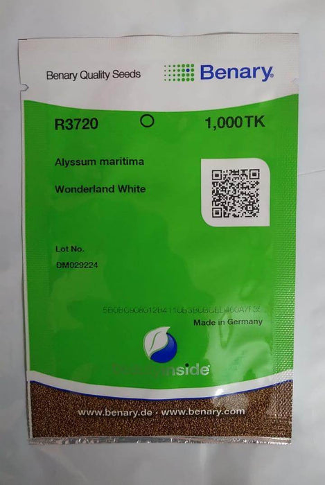 Wonderland® Alyssum Hybrid Imported (Benary Seeds) - Farmers Stop