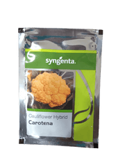 Carotena F1 Hybrid Yellowish Red Cauliflower (Syngenta) - Farmers Stop
