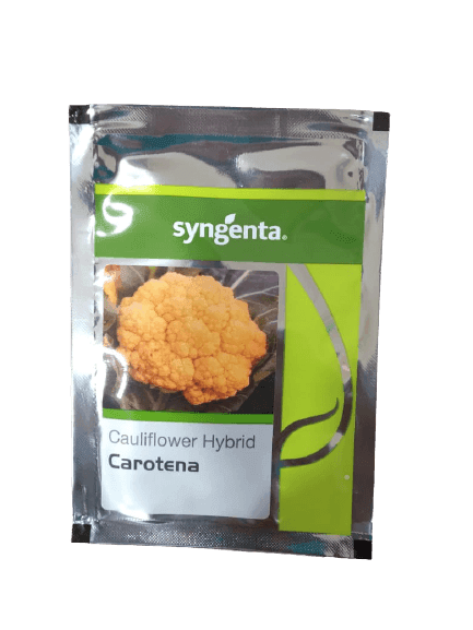 Carotena F1 Hybrid Yellowish Red Cauliflower (Syngenta) - Farmers Stop