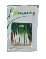Atal Leek Spring cut Bunching Onion (Clause Seeds) - Farmers Stop