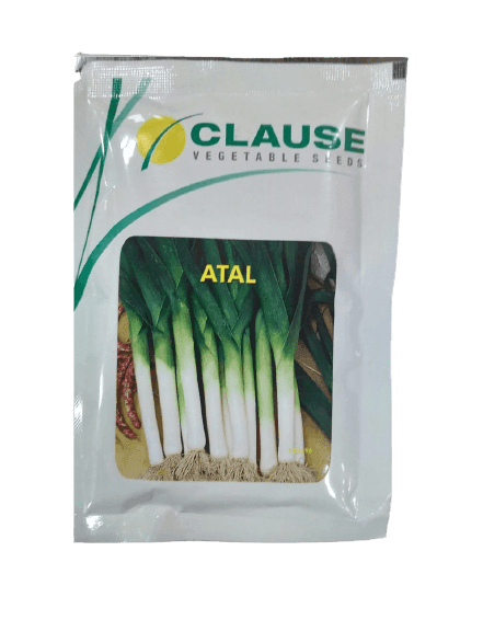 Atal Leek Spring cut Bunching Onion (Clause Seeds) - Farmers Stop