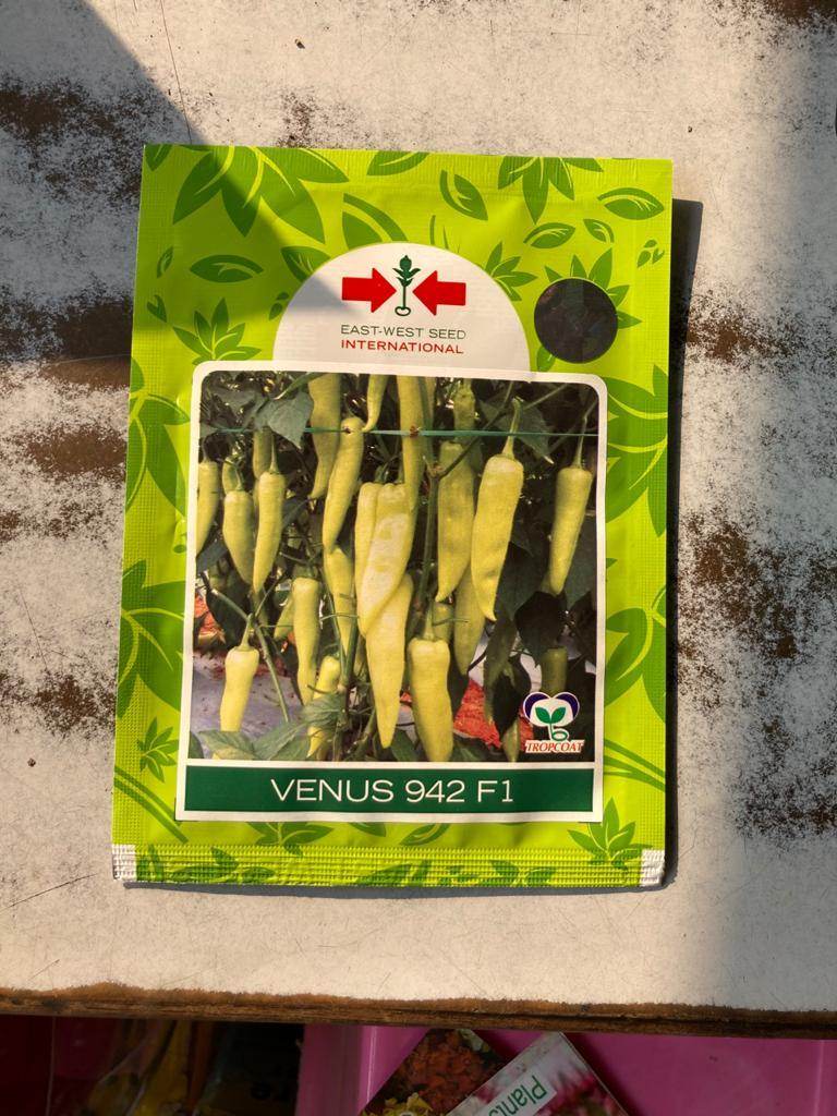 Venus 942 F1 Chilli (East West Seeds) - Farmers Stop