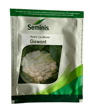 Giewont/जीवोंट F1 Hybrid Cauliflower (Seminis) - Farmers Stop