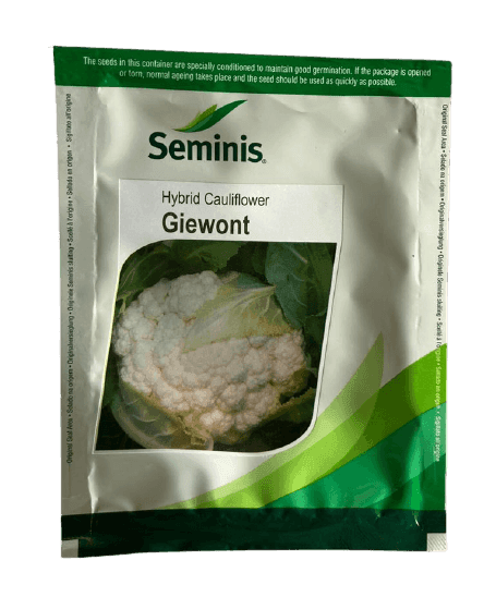 Giewont/जीवोंट F1 Hybrid Cauliflower (Seminis) - Farmers Stop