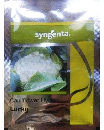 herbicide for cauliflower Buy Lucky F1 Hybrid Cauliflower (Syngenta) Online | FarmersStop