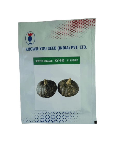 KYI-850 Winter Squash F1 Hybrid Small Pack (Known You Seeds) - Farmers Stop