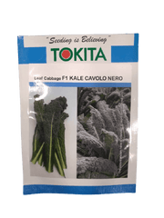 Leaf Cabbage F1 Kale Cavolo Nero (Tokita Seeds) - Farmers Stop