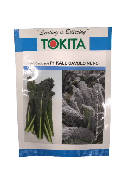 Leaf Cabbage F1 Kale Cavolo  Nero (Tokita Seeds) - Farmers Stop