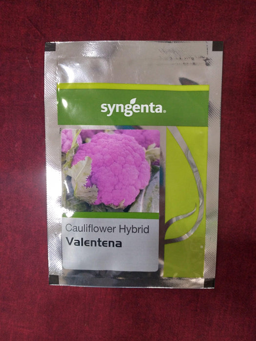 Valentena F1 Hybrid Purple Cauliflower (Syngenta) - Farmers Stop