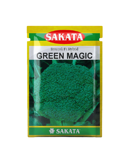 Green Magic F1 Hybrid Broccoli (Sakata) - Farmers Stop