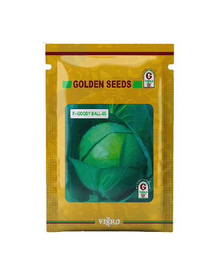 F1 HYBRID CABBAGE - GOODY BALL -65 (Golden Seeds) - 10g - Farmers Stop