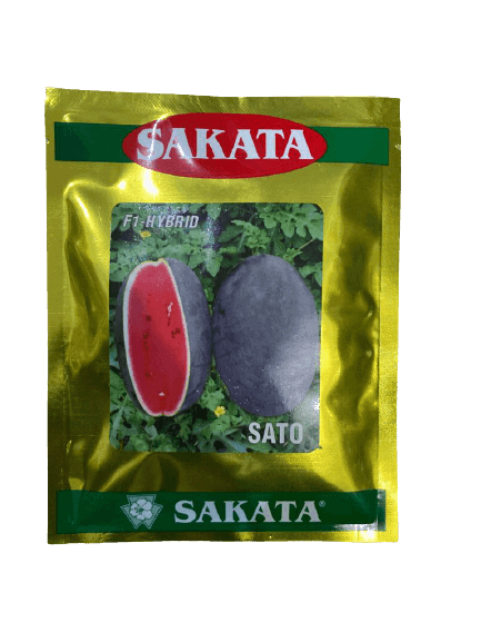Sato/साटो Hybrid F1 Watermelon (Sakata Seeds) - Farmers Stop