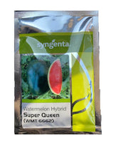 Super Queen F1 Hybrid Watermelon (Syngenta) - Farmers Stop