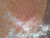 Krishna Tulsi Sacred Basil Seeds (Konico Seeds) - Farmers Stop