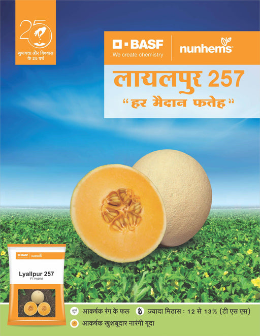 Lyallpur 257 F1 Hybrid Muskmelon (BASF-Nunhems) - Farmers Stop