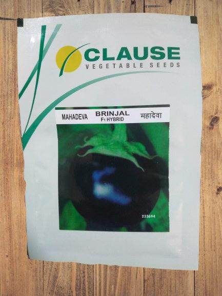 Mahadeva/महादेवा F1 Hybrid Brinjal (Clause Seeds) - Farmers Stop