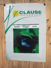Mahadeva/महादेवा F1 Hybrid Brinjal (Clause Seeds) - Farmers Stop