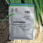 Performer Spring/Bunching Onions (Bejo) - Farmers Stop