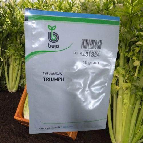 Tall Utah 52/70 - Triumph Celery, Green (Bejo) - Farmers Stop