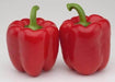 Celin F1 Hybrid Red Capsicum (Syngenta) - Farmers Stop