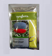 Red Chief F1 Hybrid Watermelon (Syngenta) - Farmers Stop