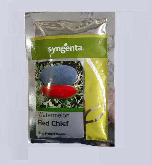 Red Chief F1 Hybrid Watermelon (Syngenta) - Farmers Stop