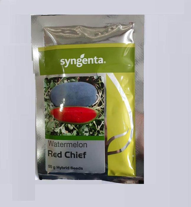 Red Chief F1 Hybrid Watermelon (Syngenta) - Farmers Stop