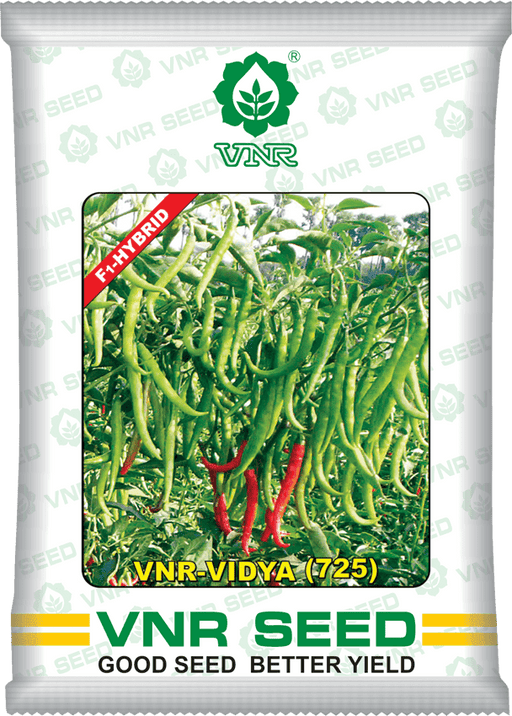 VNR Vidya 725 F1 Hybrid Chilli (VNR Seed's) - Farmers Stop