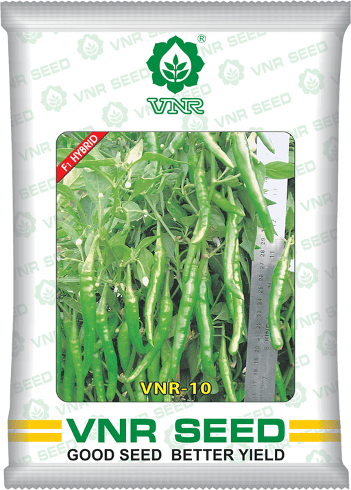 VNR 10 F1 Hybrid Chilli (VNR Seed's) - Farmers Stop