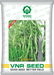 VNR 10 F1 Hybrid Chilli (VNR Seed's) - Farmers Stop